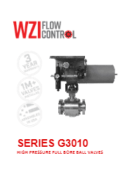 WZI-Series-G3010-High-Pressure-Full-Bore-Ball-Valves.pdf