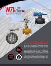 WZI-Flow-Control-Ltd.-Family-Brochure